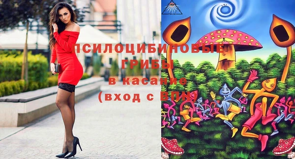 синтетический гашиш Алексеевка